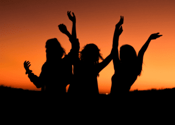 Travel With Your Pets: Tips And Advice For Cruising With Your Pet