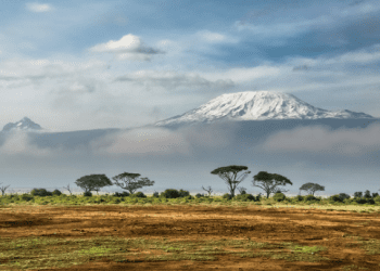 Future Travelers: Which Of These 5 African Countries Should You Visit?