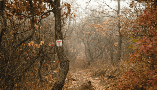 The 6 Best Places You Should Visit In November