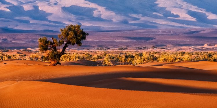 From Safari Adventures to Cultural Experiences: Discover the Best Featured Destinations in Africa