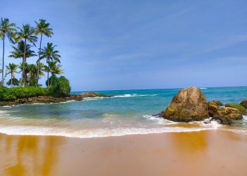 Sun, Sand, and Sea: The Best Beaches in the World