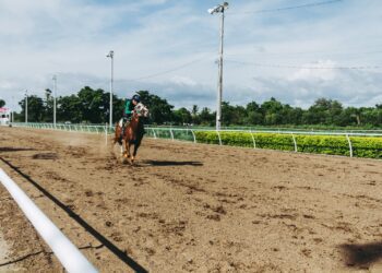 Unique and Unforgettable Airbnb Stays Around the World