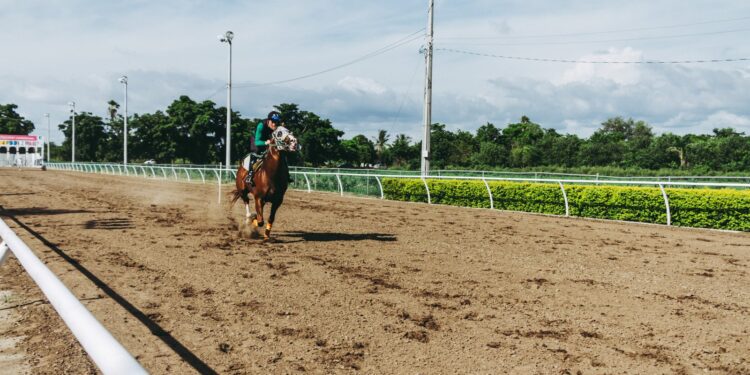 Unique and Unforgettable Airbnb Stays Around the World
