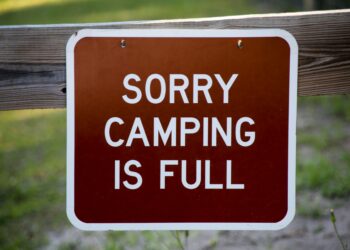 Friendly Hotels for a Comfortable Stay on Your Next Trip